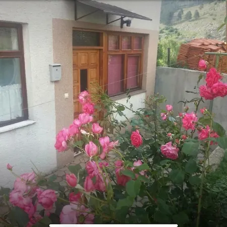 Apartment As